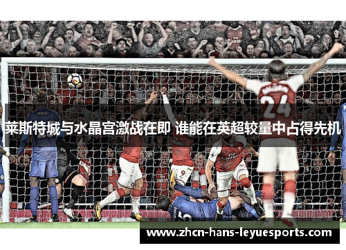 莱斯特城与水晶宫激战在即 谁能在英超较量中占得先机 莱斯特城与水晶宫激战在即 谁能在英超较量中占得先机