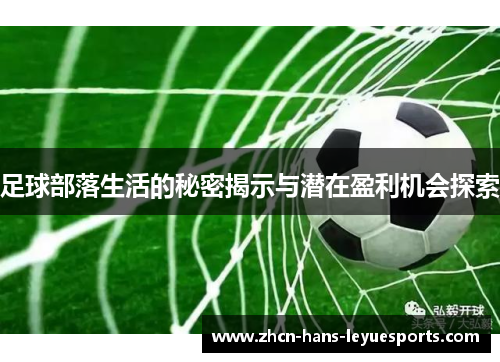 足球部落生活的秘密揭示与潜在盈利机会探索